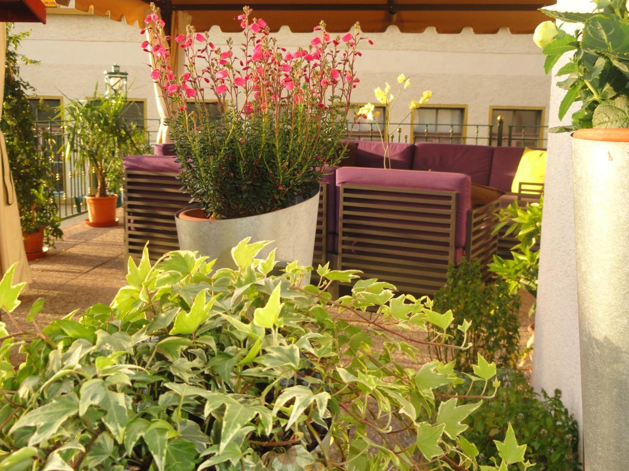 Gasthof Sonne Guest house Horriwil